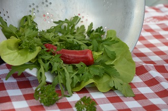 Voorbereidingen voor het eten met ingrediënten uit eigen tuin