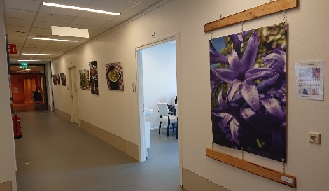 Punt voor Parkinson Maartenshof fotografie Groningen Groninger Landschap