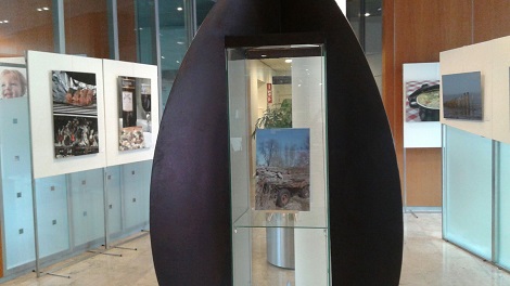 svb expositie marina ter wiel