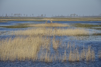 Dannemeer in 't Roegwold vanaf de loopbrug
