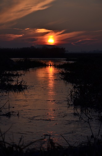 Zonsondergang in Hoeksmeer