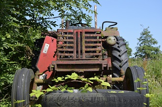 De McCormick begroeid met wilde bramen