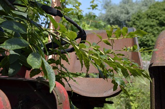 De zitting van de McCormick