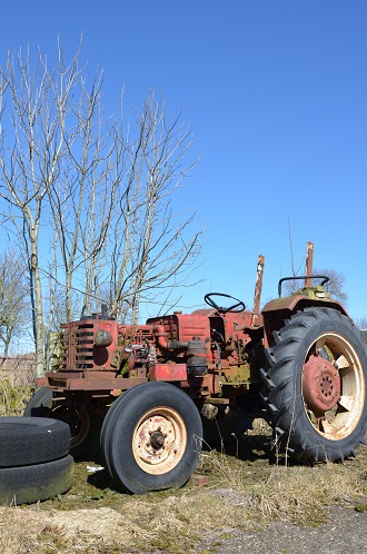 De McCormick in het vroege voorjaar