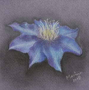 clematis, pastel