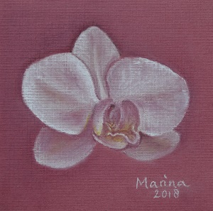 vlinderorchidee, orchidee, pastel