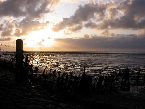 Het wad bij Harlingen