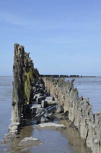 Wad bij Wierum met basaltstenen en palen